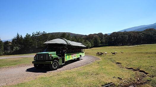 SAFARI SERENGETI