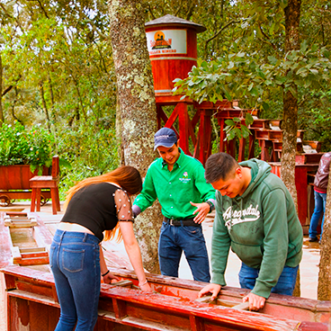 TALLER DE MINERÍA